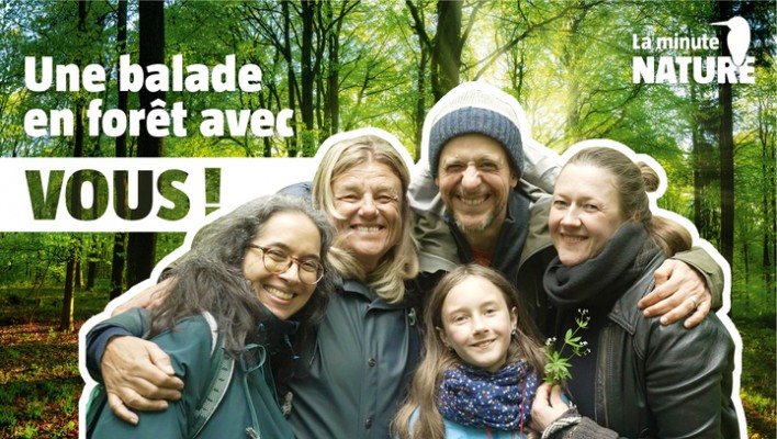 Les secrets de la forêt