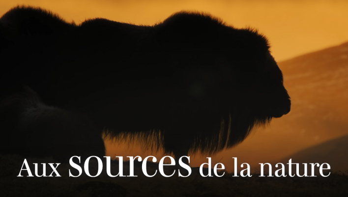 Aux sources de la nature