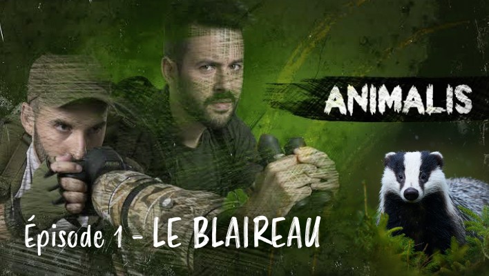 Animalis - le blaireau