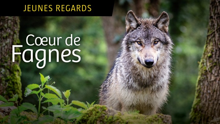 Coeur de Fagnes