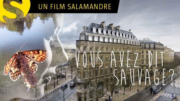 Vous avez dit sauvage ?