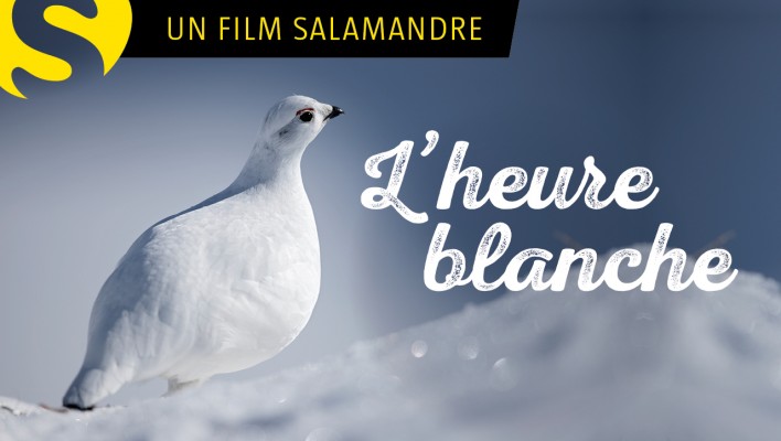 L'heure blanche